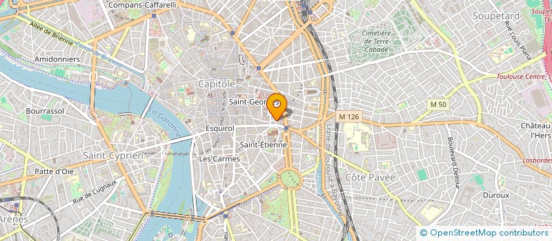 localisation de l'entreprise MADAME VICTOIRE CAMUS  TOULOUSE