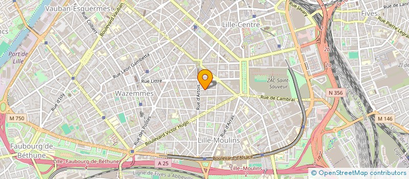 localisation de l'entreprise MADAME VICTOIRE SAVIER à LILLE