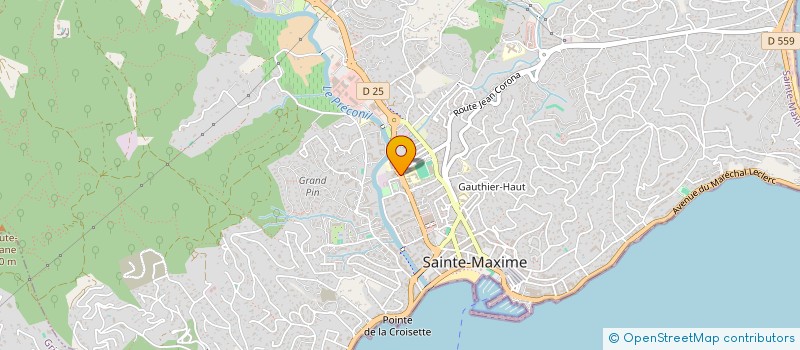 localisation de l'entreprise MADAME VICTORIA ALVAREZ à SAINTE-MAXIME