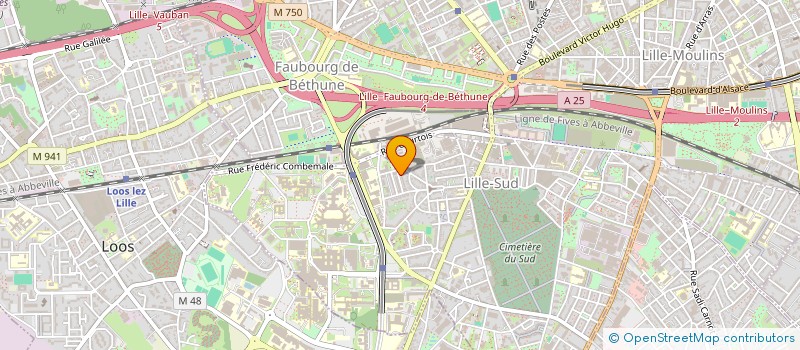 localisation de l'entreprise MADAME VICTORIA JONIOT à LILLE