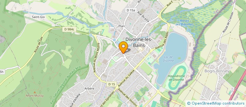 localisation de l'entreprise MADAME VICTORIA LIAO à DIVONNE-LES-BAINS