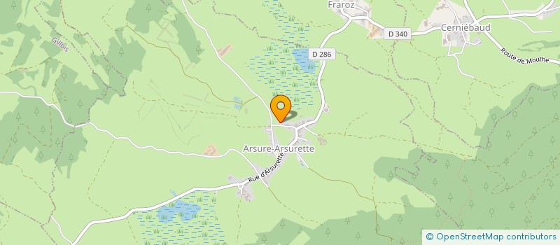 localisation de l'entreprise MADAME VIKTORIIA KLIMOVA  ARSURE-ARSURETTE