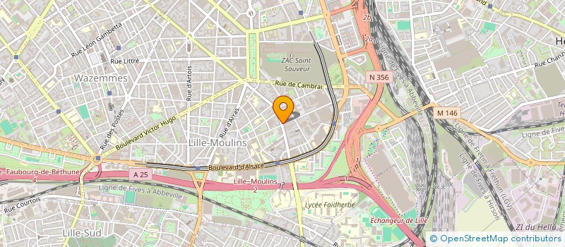 localisation de l'entreprise MADAME VIKTORIJA BAUBLYTE à LILLE