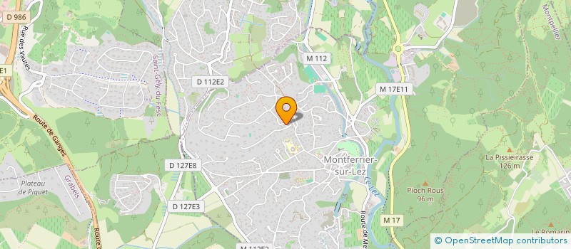 localisation de l'entreprise MADAME VINA YENOUNKOUNME ADJONOUOKE à MONTFERRIER-SUR-LEZ