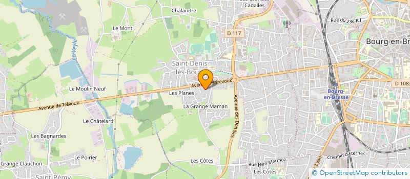 localisation de l'entreprise MADAME VINCIANE BERTHET à SAINT-DENIS-LES-BOURG
