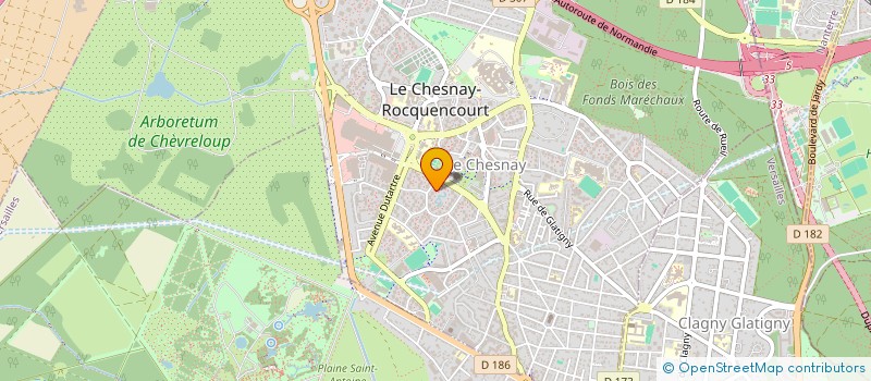 localisation de l'entreprise MADAME VINCIANE DENION  LE CHESNAY-ROCQUENCOURT