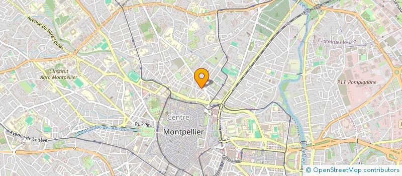 localisation de l'entreprise MADAME VIOLAINE DE BOISGELIN à MONTPELLIER
