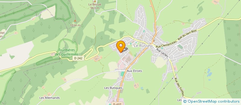 localisation de l'entreprise MADAME VIOLAINE DESCOURVIERES  LE RUSSEY