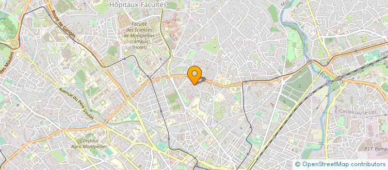 localisation de l'entreprise MADAME VIOLAINE LOPEZ à MONTPELLIER