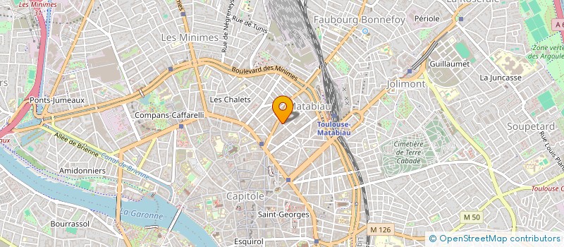 localisation de l'entreprise MADAME VIOLAINE METREAU à TOULOUSE