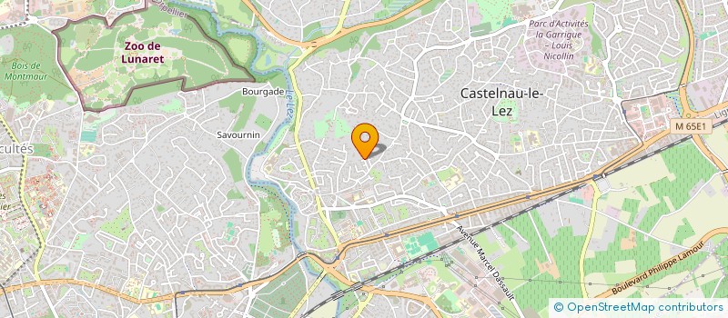 localisation de l'entreprise MADAME VIOLAINE OCHIN à CASTELNAU-LE-LEZ