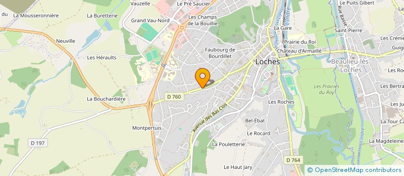 localisation de l'entreprise MADAME VIOLAINE THIOUT à LOCHES