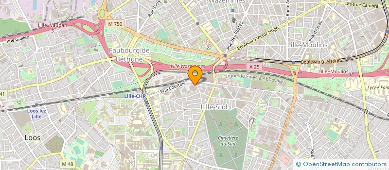 localisation de l'entreprise MADAME VIOLAINE TIBERGHIEN à LILLE