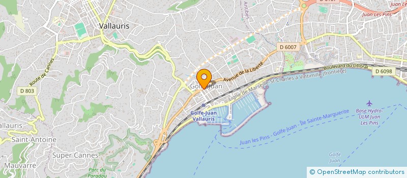 localisation de l'entreprise MADAME VIOLETA ACOSTACHIOAEI  VALLAURIS