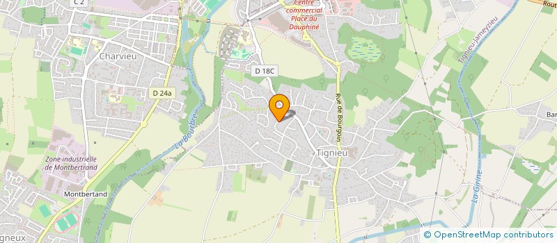 localisation de l'entreprise MADAME VIOLETA DOMINGUEZ  TIGNIEU-JAMEYZIEU