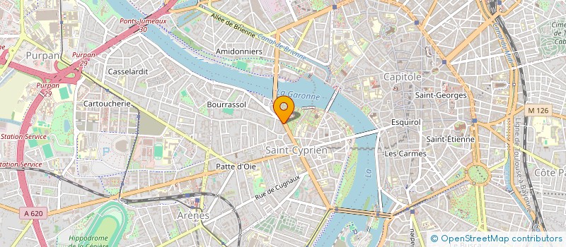 localisation de l'entreprise MADAME VIOLETA MARTINEZ DELGADO  TOULOUSE