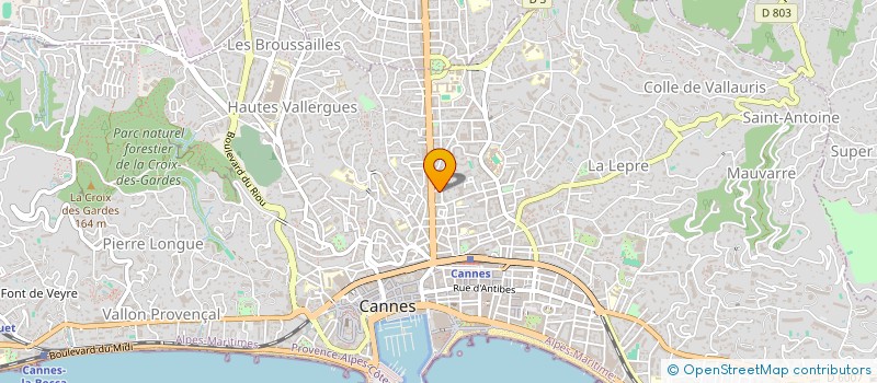 localisation de l'entreprise MADAME VIOLETA MIRKOV à CANNES
