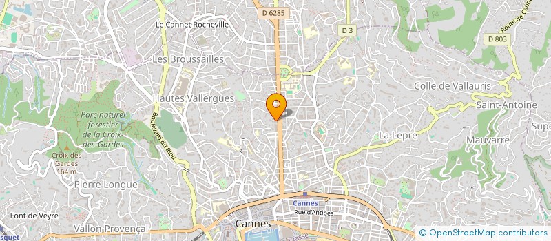 localisation de l'entreprise MADAME VIOLETTA STAROSTIUK  CANNES