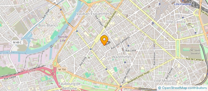 localisation de l'entreprise MADAME VIOLETTE DECRE à LILLE