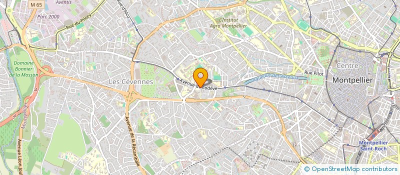localisation de l'entreprise MADAME VIOLETTE DORST à MONTPELLIER