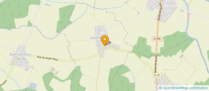 localisation de l'entreprise MADAME VIOLETTE HOLLARD  SAVOUGES