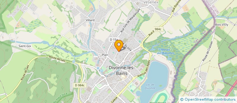localisation de l'entreprise MADAME VIOLETTE MANSOUR à DIVONNE-LES-BAINS