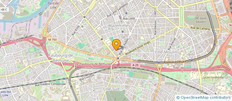 localisation de l'entreprise MADAME VIOLETTE POTHAIN à LILLE