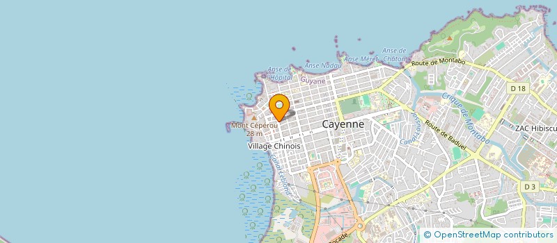 localisation de l'entreprise MADAME VIOLETTE SALEH à CAYENNE