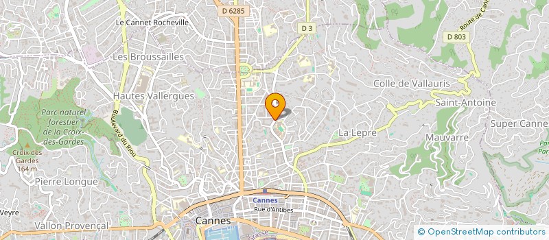 localisation de l'entreprise MADAME VIORICA MOCAN  CANNES