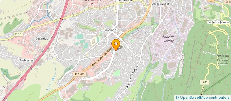 localisation de l'entreprise MADAME VIRGINIA HERMIDA LORENZO  ANNECY