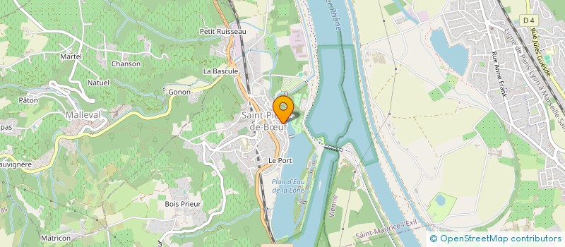 localisation de l'entreprise MADAME VIRGINIA MARIANI  SAINT-PIERRE-DE-BUF