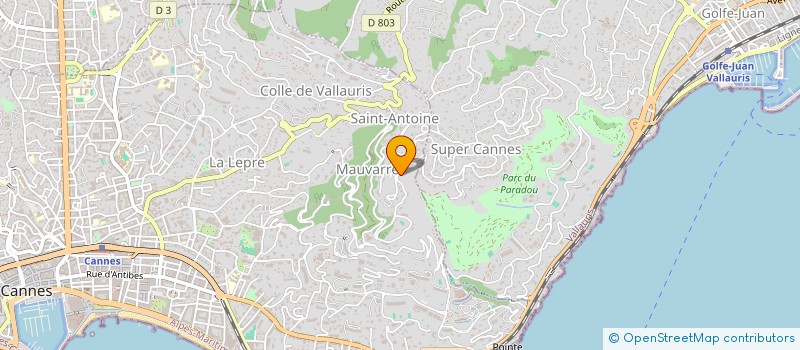 localisation de l'entreprise MADAME VIRGINIA VILCU  CANNES