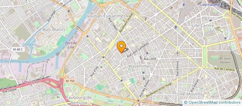 localisation de l'entreprise MADAME VIRGINIE ALLAIS à LILLE