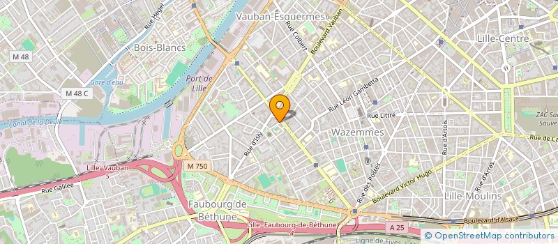 localisation de l'entreprise MADAME VIRGINIE BRICHE à LILLE