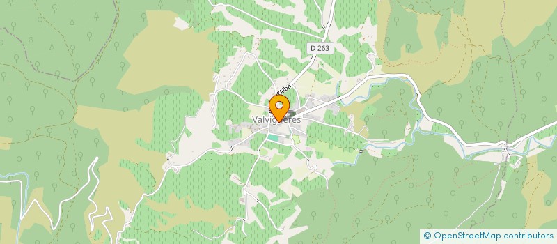 localisation de l'entreprise MADAME VIRGINIE CALVO  VALVIGNERES