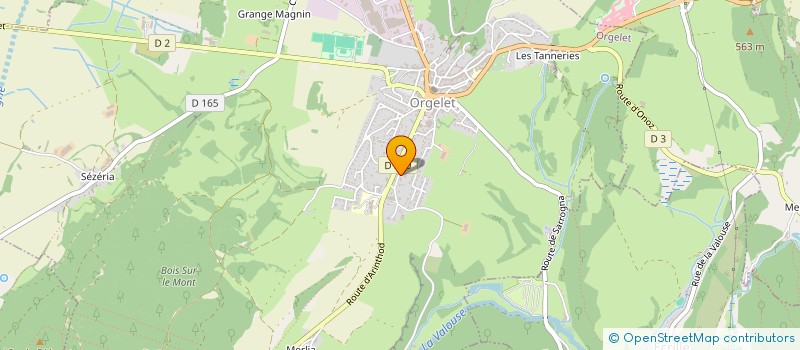 localisation de l'entreprise MADAME VIRGINIE CELINE SAUSSARD  ORGELET