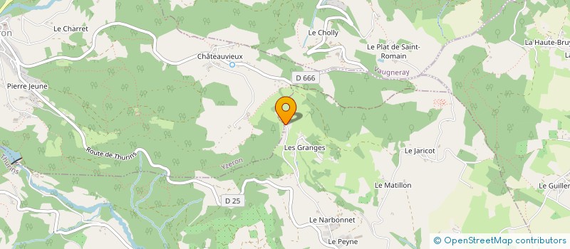 localisation de l'entreprise MADAME VIRGINIE CHANTRE  THURINS