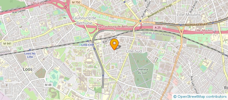 localisation de l'entreprise MADAME VIRGINIE COCKENPOT à LILLE