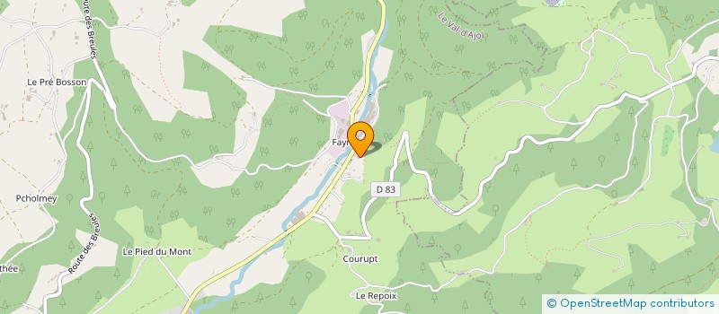 localisation de l'entreprise MADAME VIRGINIE COMTE à LE VAL-D'AJOL