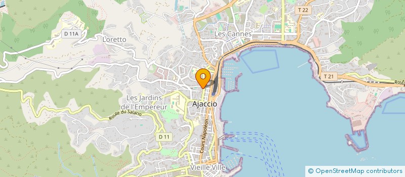 localisation de l'entreprise MADAME VIRGINIE DAUPHIN à AJACCIO