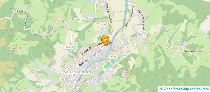 localisation de l'entreprise MADAME VIRGINIE DECLEVE  SAINT-VINCENT-DE-TYROSSE