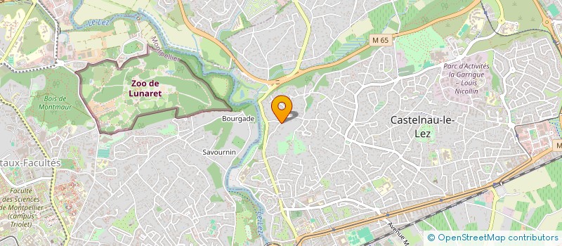 localisation de l'entreprise MADAME VIRGINIE DELABAN à CASTELNAU-LE-LEZ