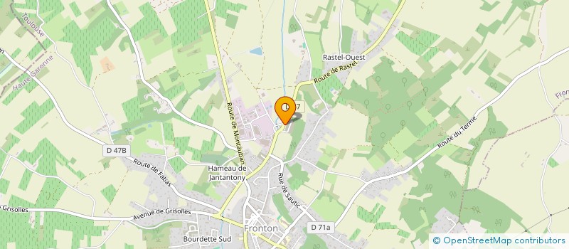 localisation de l'entreprise MADAME VIRGINIE DOMINOT  FRONTON