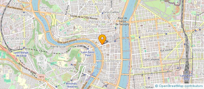 localisation de l'entreprise MADAME VIRGINIE DURIEUX à LYON