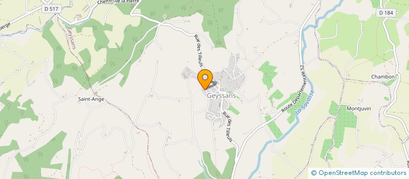 localisation de l'entreprise MADAME VIRGINIE FLEURY  GEYSSANS