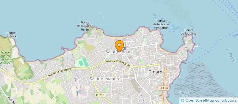 localisation de l'entreprise MADAME VIRGINIE FORESTIER  DINARD