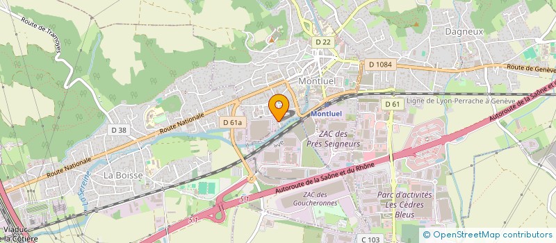 localisation de l'entreprise MADAME VIRGINIE GOUCHAM  MONTLUEL