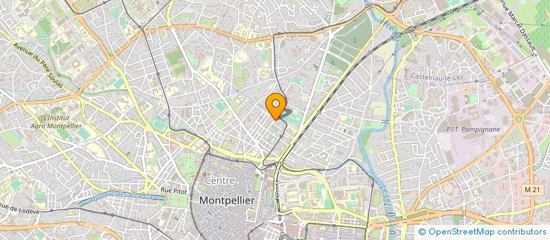 localisation de l'entreprise MADAME VIRGINIE HENNOCQUE à MONTPELLIER