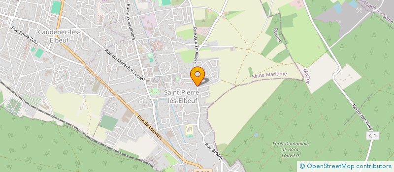 localisation de l'entreprise MADAME VIRGINIE IZART  SAINT-PIERRE-LES-ELBEUF