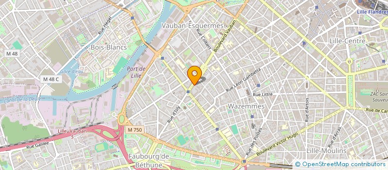 localisation de l'entreprise MADAME VIRGINIE KOCISZEWSKI à LILLE